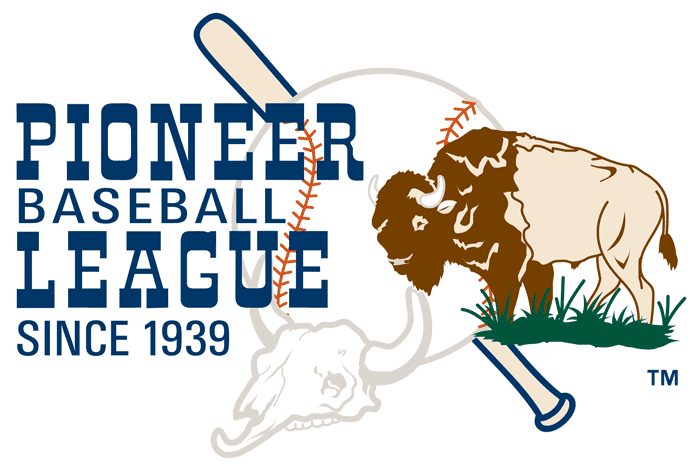 Pioneer League 1990-Pres Primary Logo iron on paper